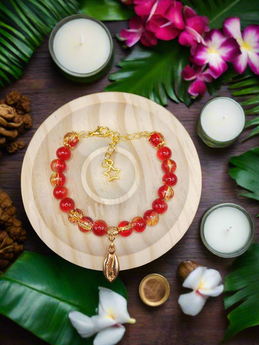 Fiery Cowrie Shell (Medium/Large)